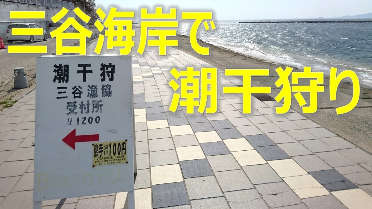 三谷海岸 愛知県蒲郡市 21年潮干狩り情報 Amatavi