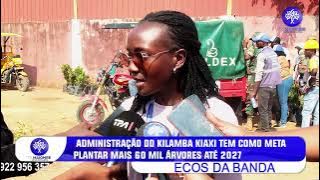 ADMINISTRAÇÃO DO KILAMBA KIAXI TEM COMO META PLANTAR MAIS 60 MIL ÁRVORES ATÉ 2027