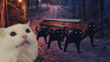 Astronomia - Coffin Dance Meme - Cat Cover #2