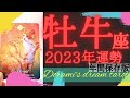 《牡牛座2023年年間の運勢》未知の世界に踏み込んでいく１年🌌✨️自立心を持って👑自由気ままに🐱🌹とても護られています👼🐲☆年間保存版☆