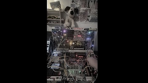 Polyphonic Eurorack Jam.