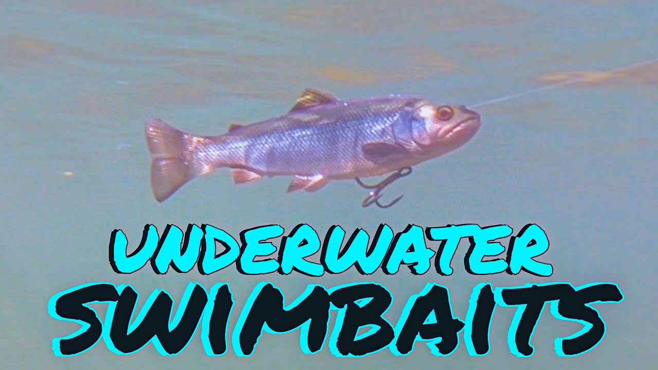 Amazing Underwater Footage of 8 Big Swimbaits! 