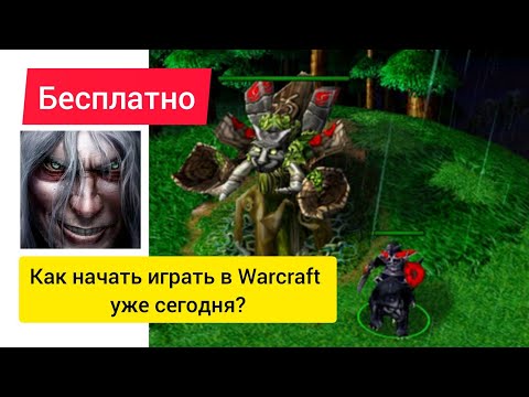 Варкрафт 3 как играть бесплатно!