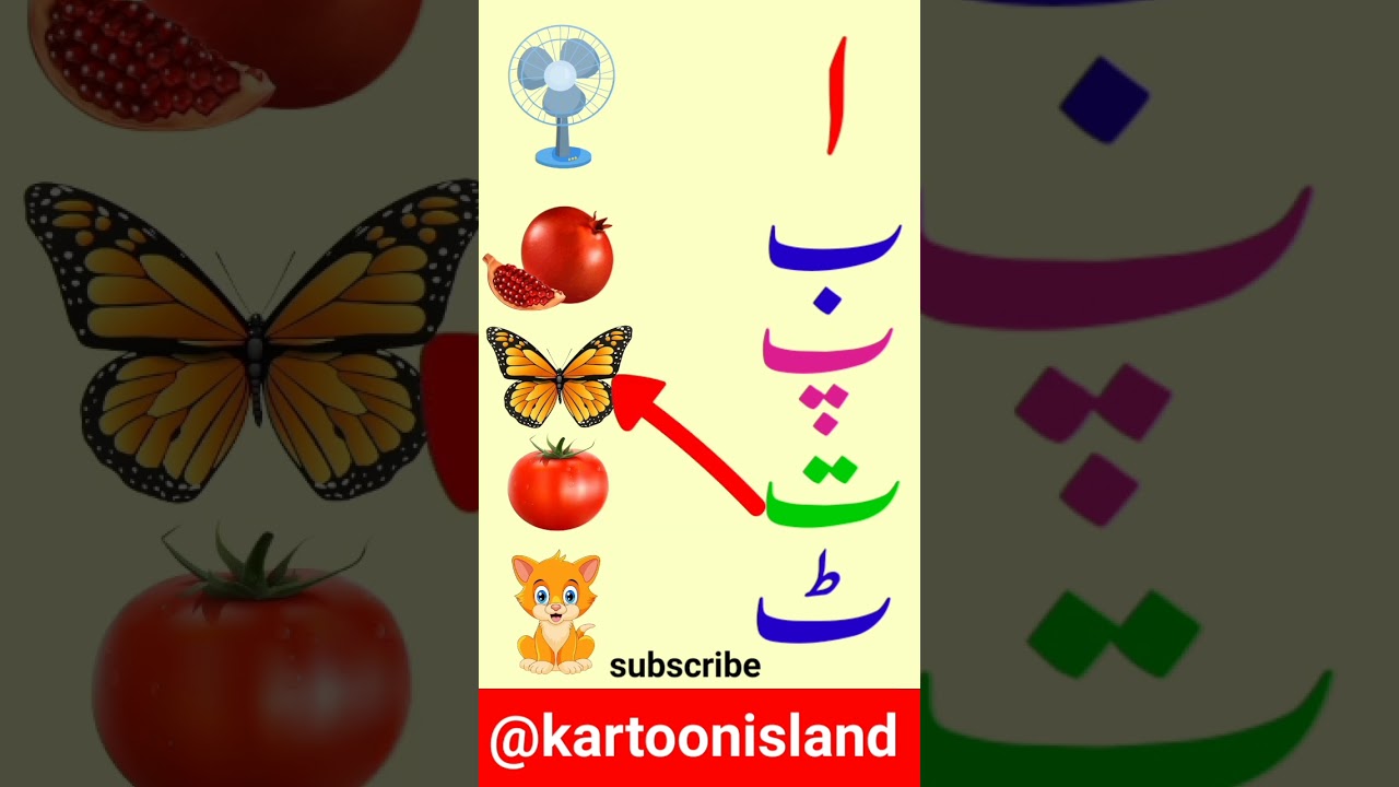 Match the correct object #shorts #tiktok #viral #youtubeshorts #shortvideo