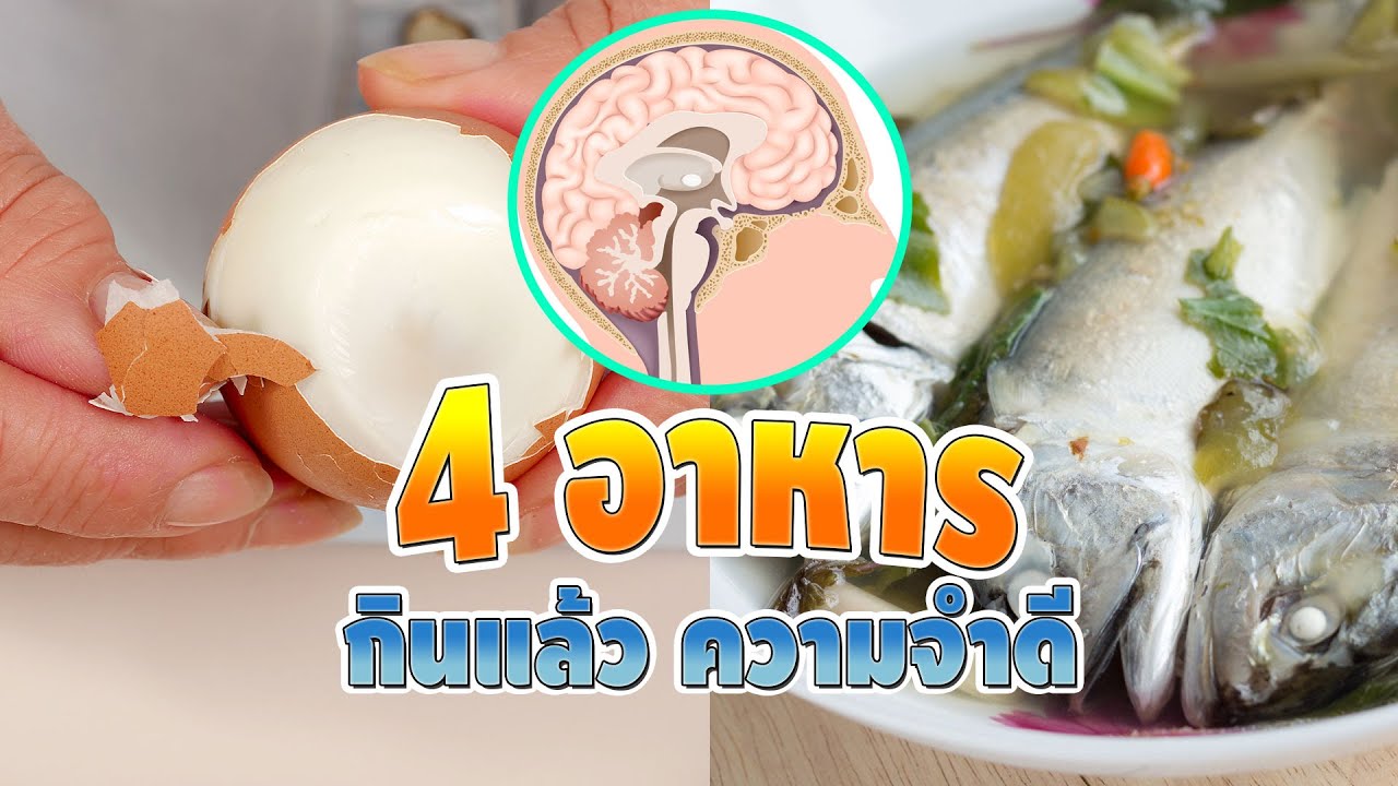 บํา รุ ง สมอง ความ จํา  New  หากินให้ได้บ่อยๆ 4 อาหารช่วยบำรุงสมอง ยิ่งกินยิ่งฉลาด ความจำดีเลิศ