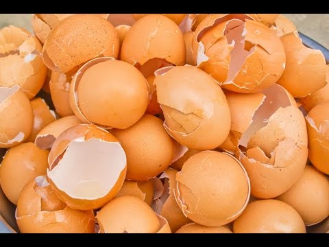 Video: What Are The Beneficial Elements Contained In Eggshell