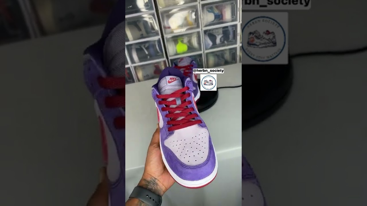 Nike Dunk Low “Plum”