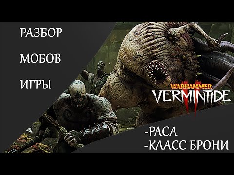 Видео: Warhammer: Vermintide 2 ►Что из себя представляют мобы этой игры ► Разбор Расы и Класса брони