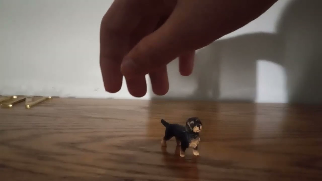 The Black Cat Reviews Schleich Farm World Dachshund.