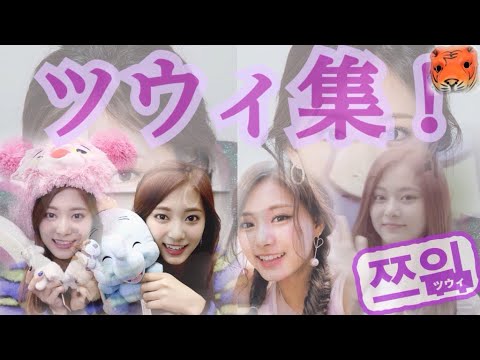 Twice 1 ツウィの可愛い所まとめ Youtube Twice 1 ツウィの可愛い所まとめ Youtube