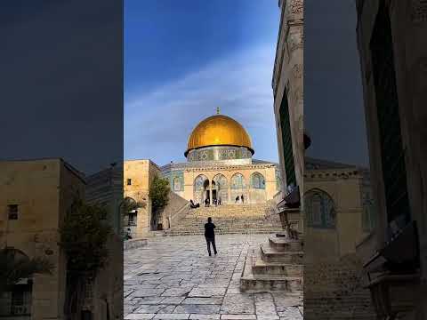 يا شوق القلب للقدس وديني