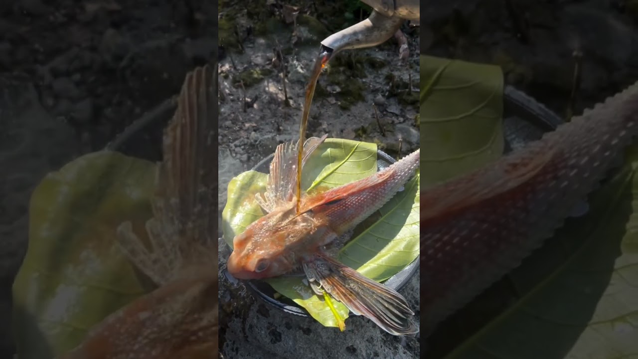 Nice color transition! 