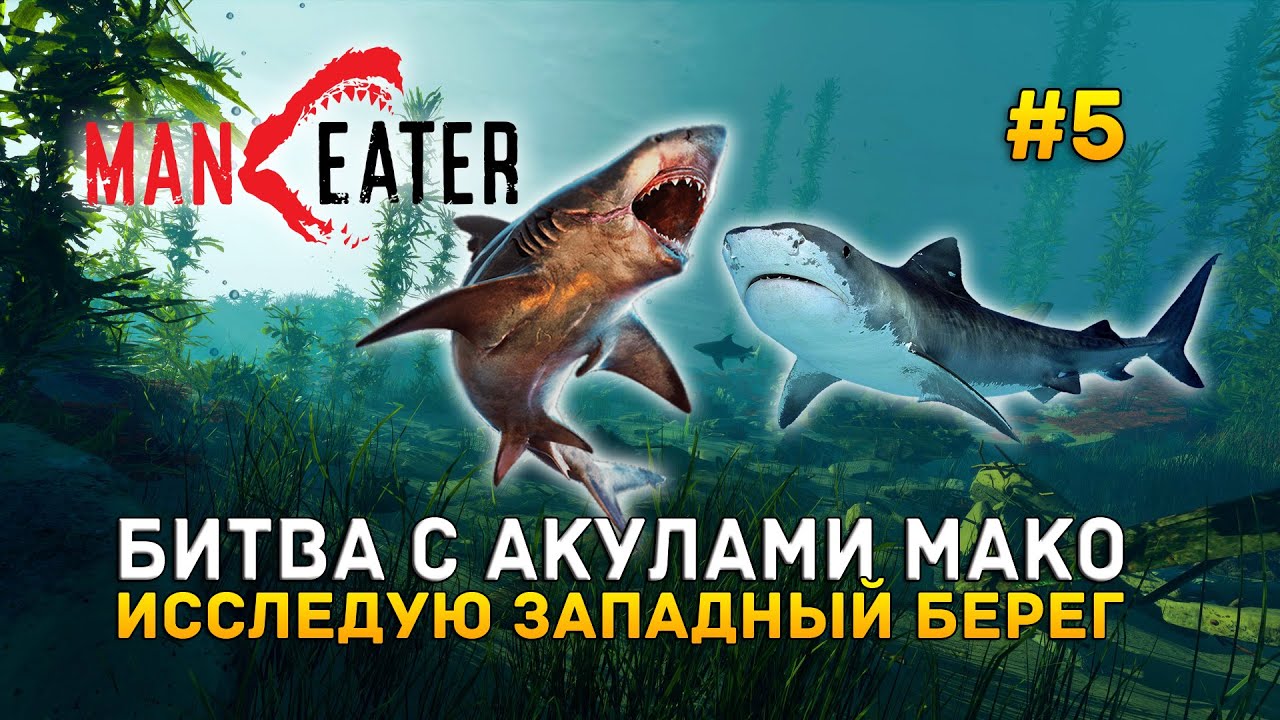 Битва с Акулами Мако. Исследую Западный берег - Maneater #5