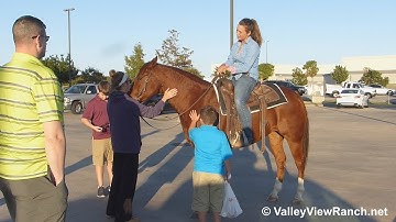 I Am A Little Booger***For info, price, etc., go to our website*** ValleyViewRanch.net