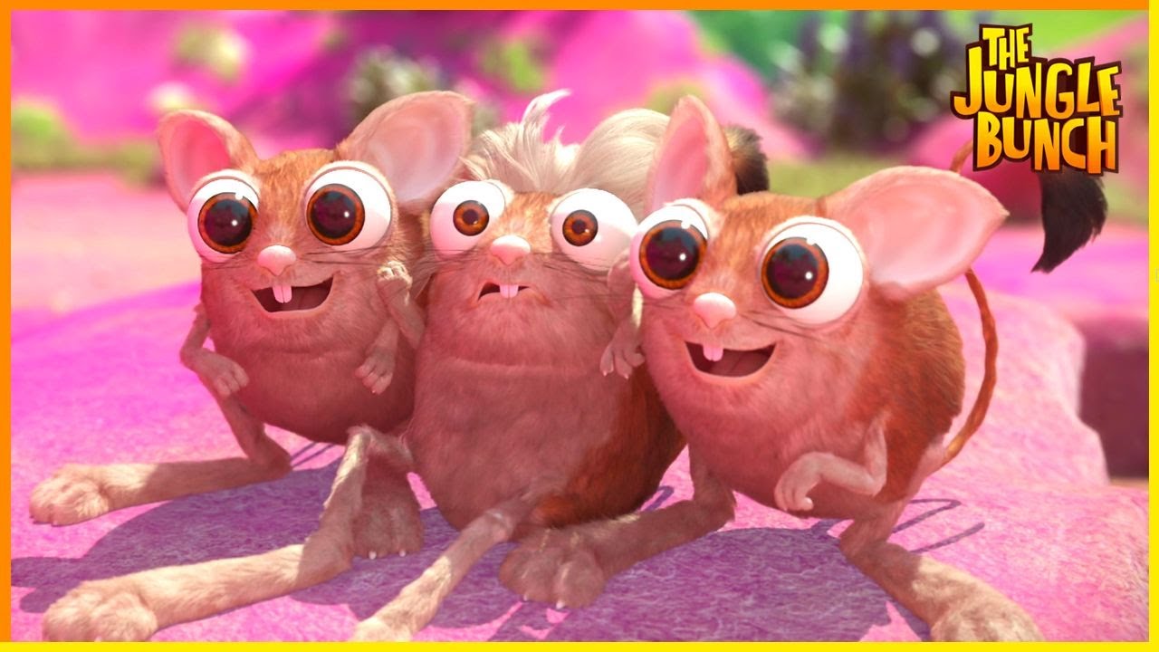 Jungle Bunch Adventures: Hypnosis, Heists, and Races | 90' Compilation | Cartoon For Kids