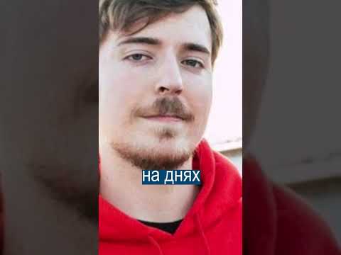 Видео: Является ли твиттер-аккаунт подделкой?