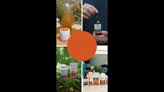 Energy & Exercise*
Looking for a way to increase energy and stamina without the crash that comes with stimulants like caffeine and sugar? Our Energy & Exercise collection might be just what you’re looking for.*
With a focus on Cordyceps - a mushroom long celebrated for its antioxidant and DNA-supporting properties - these formulas support energy, respiration, and fatigue reduction.*
Whether you’re a fitness enthusiast, professional athlete, or just juggling an active lifestyle, this collection is for you!*
#cordyceps #poweredbymushroommycelium #hostdefense #mycelium #mushroomsupplements *These statements have not been evaluated by the FDA. This product is not intended to diagnose, treat, cure, or prevent any disease. Energy & Exercise*