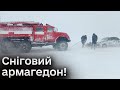 ❗ Снігу до колін! Буревій валяє дерева! Україна в полоні негоди!