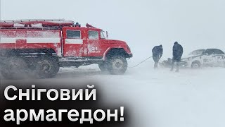 ❗ Снігу до колін! Буревій валяє дерева! Україна в полоні негоди!