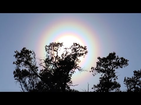 Golden Light - STRFKR cover by Marana Blake ft. Sun Halo