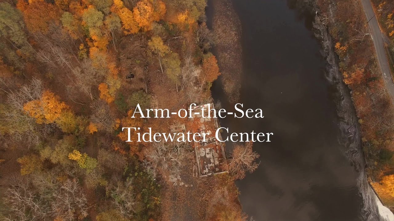 ArmoftheSea Tidewater Center YouTube