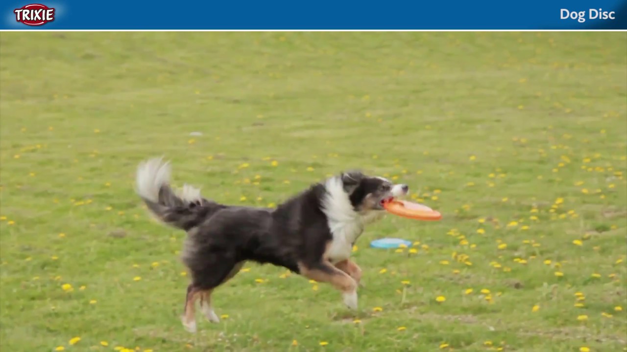 Frisbee TRIXIE DOG ACTIVITY