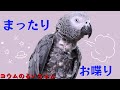 まったりお喋りの中に笑いあり♪~前編~