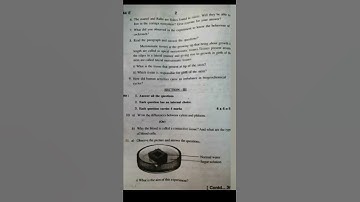 9TH CLASS SA2 QUESTION ORGINAL PAPER 100% GUARANTEE