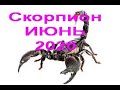 СКОРПИОН на ИЮНЬ 2020 г от J Dzay