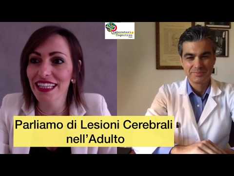 Video: Il saggio informa il lettore in che modo a livello cerebrale?