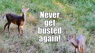 Download Lagu This ONE THING is MORE IMPORTANT than SCENT when hunting deer! (Hear me out!) MP3 Download Lagu This ONE THING is MORE IMPORTANT than SCENT when hunting deer! (Hear me out!) MP3