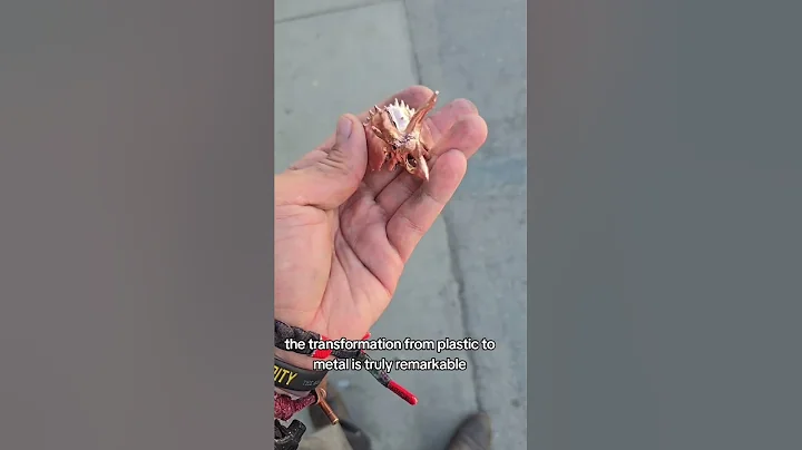 Step-by-Step Process: 3D Print to Nickel Plating | DIY Tutorial#copperplating #copperplate #dino