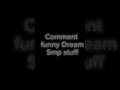 Comment funny dream smp moments for a  dreamsmp