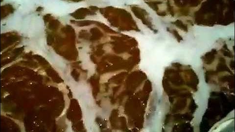 Aeration of activated sludge in an SBR wastewater treatment plant