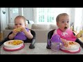 Twins have a seafood feast!