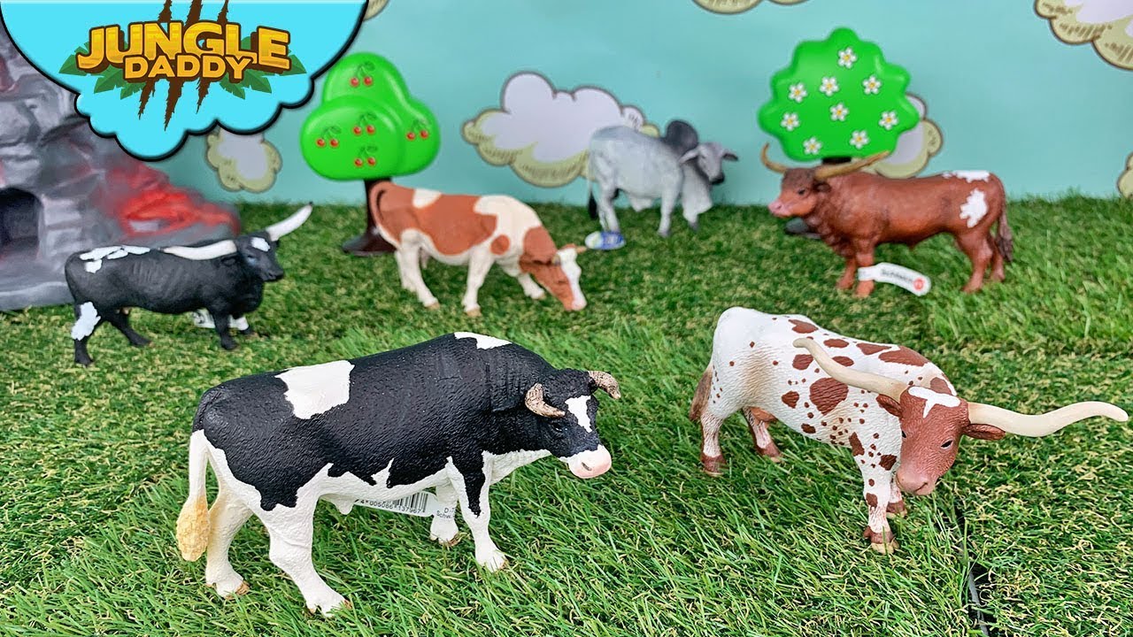 toy cows and bulls