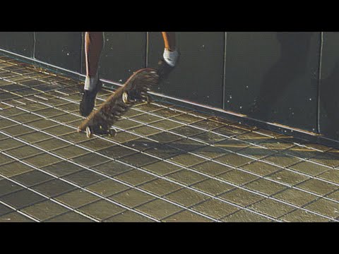 Jimmy Eat World - Failure (Official Video)