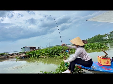 Lần Đầu Câu Dính Con Này | Bất Ngờ Câu Trúng Bầy Cá Ngon Trên Sông Đồng Nai