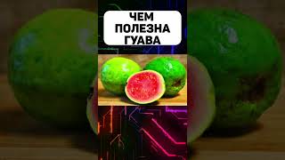 Чем полезна Гуава #гуава #гуавапольза #пользагуава #история #факты #интересныефакты