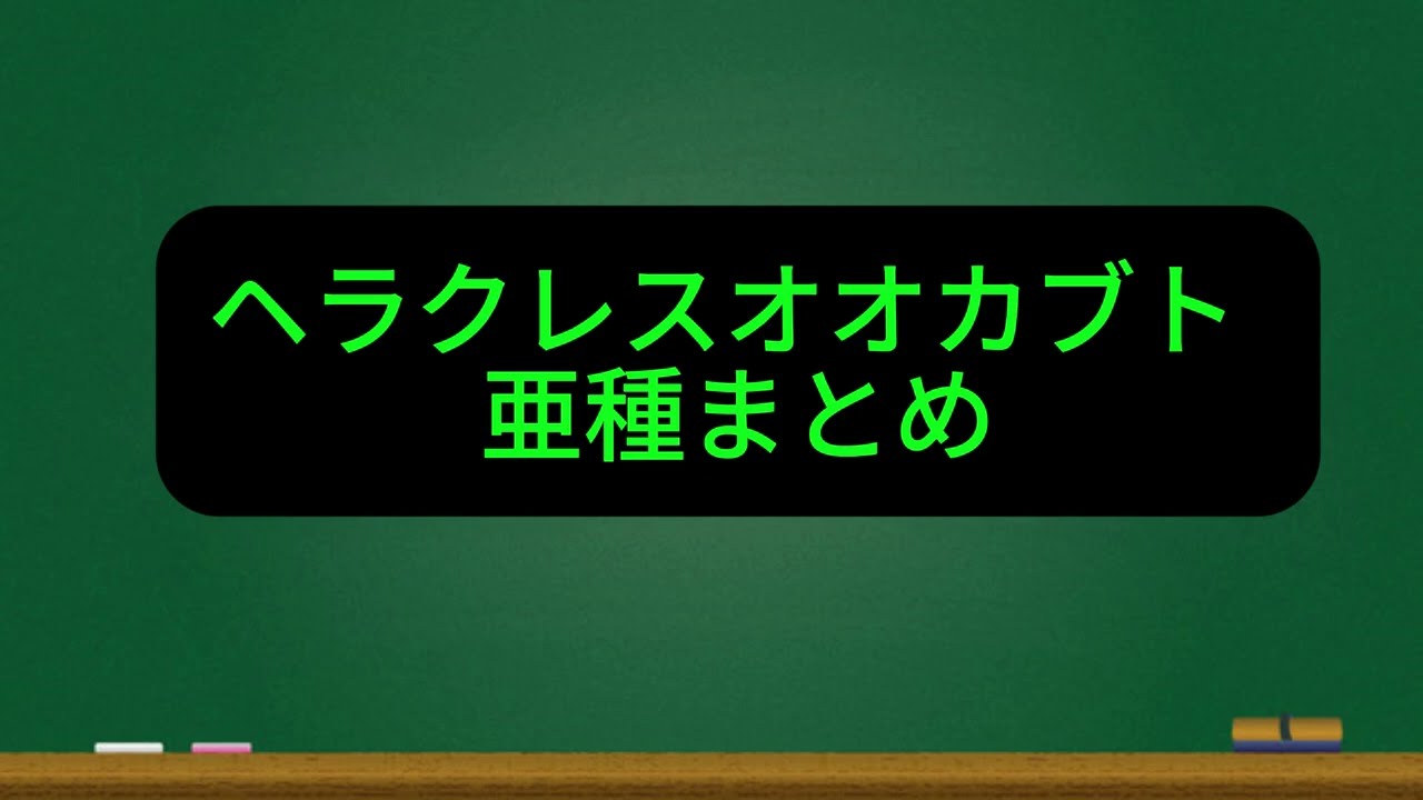 ヘラクレスオオカブト　全１３種類 　簡単解説　
