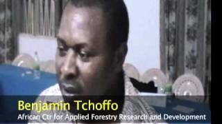 Dam Dilemma In Cameroon