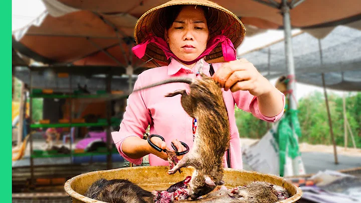 Asia’s SHOCKING Live Animal Market!!! Extreme Food Tour in the Mekong Delta! - DayDayNews