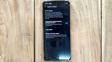 Hoe automatische software-updates op de vivo Y29 5G uit te schakelen