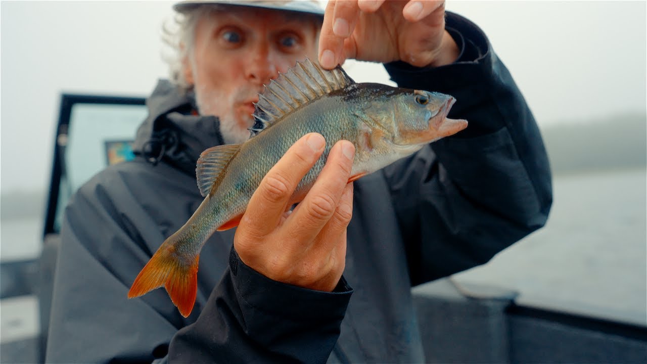„Šiandien kimba“. Ekstremali žvejyba Avilyje: ar ešeriai pasiduos? (2025-07-20)