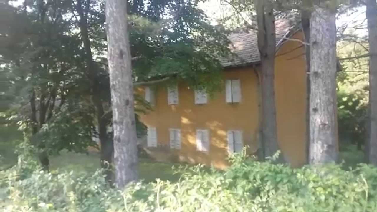 Karaula Online Karaula Online