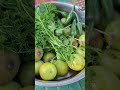 “Traditional Way of Making Spicy Hog Plum Paste”