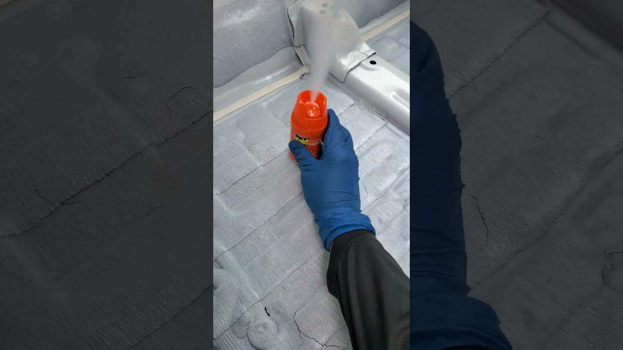 Roach Bomb 💣🪳☠️👍 