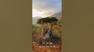 قُلِ اللَّهُمَّ مَالِكَ الْمُلْكِ | سورة آل عمران #قرآن #quran #trending #fyp#قران الكريم_quransite1