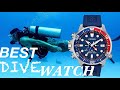 The Best Dive Watch: Citizen Promaster Aqualand