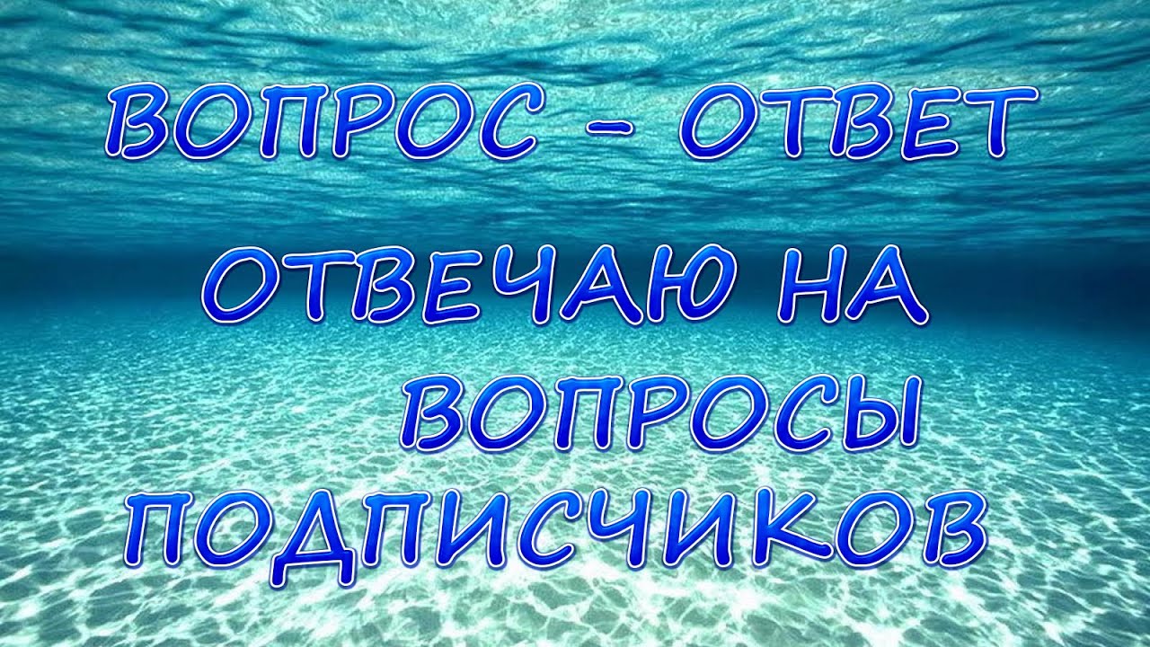 Отвечаю на вопросы подписчиков. Вопрос подписчика. Фото ответы на вопросы подписчиков.